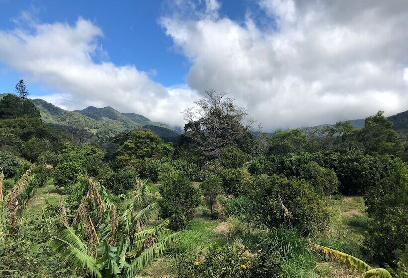 فندق Buena Vista Boquete