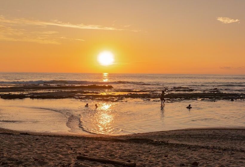 فندق Paradise Beach Lodge