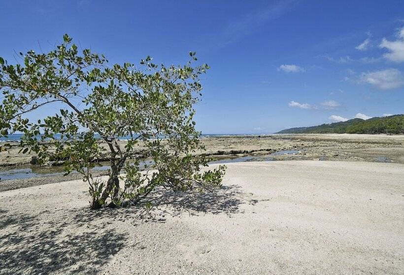 فندق Paradise Beach Lodge