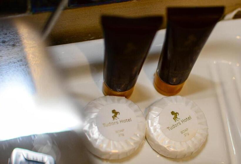 Отель Tudor House