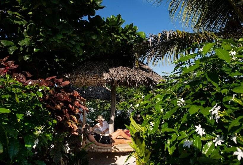 Nyumbani Residence Apartments