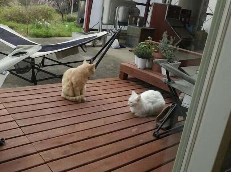 פנסיון Guesthouse Lahar  Hostel