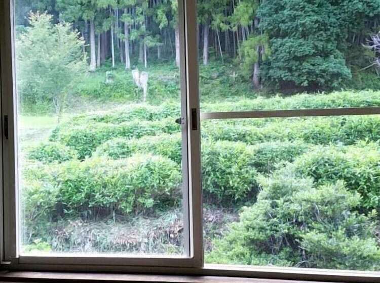 פנסיון Guesthouse Lahar  Hostel