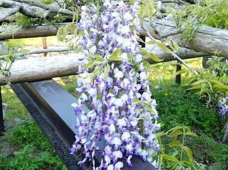 פנסיון Guesthouse Lahar  Hostel