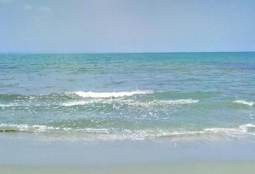 פנסיון Oasis De Tolú