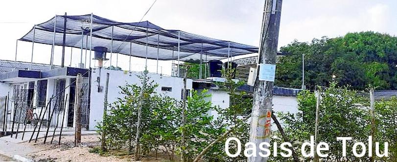 פנסיון Oasis De Tolú