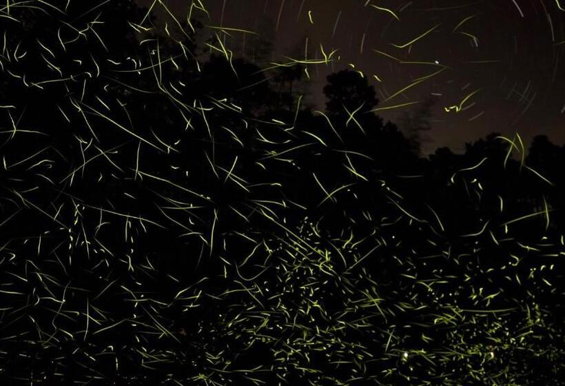 פנסיון Seiryukyou