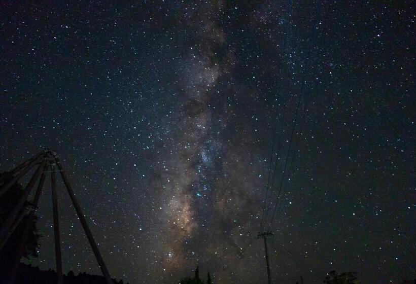 פנסיון Seiryukyou