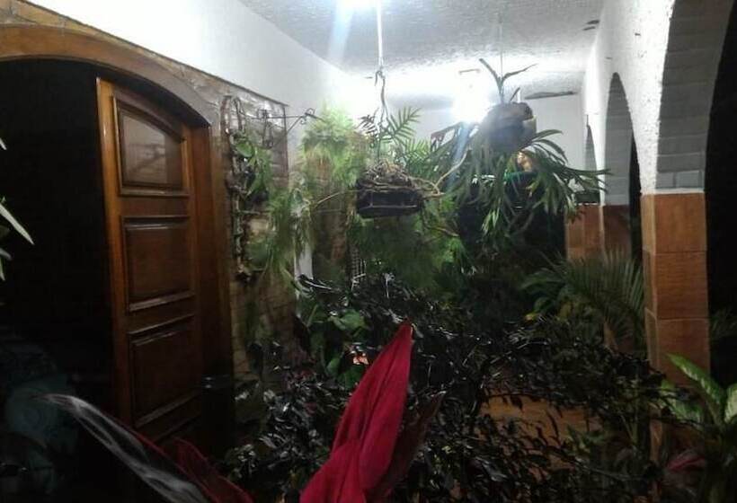 Aloha Hostel Cabo Frio