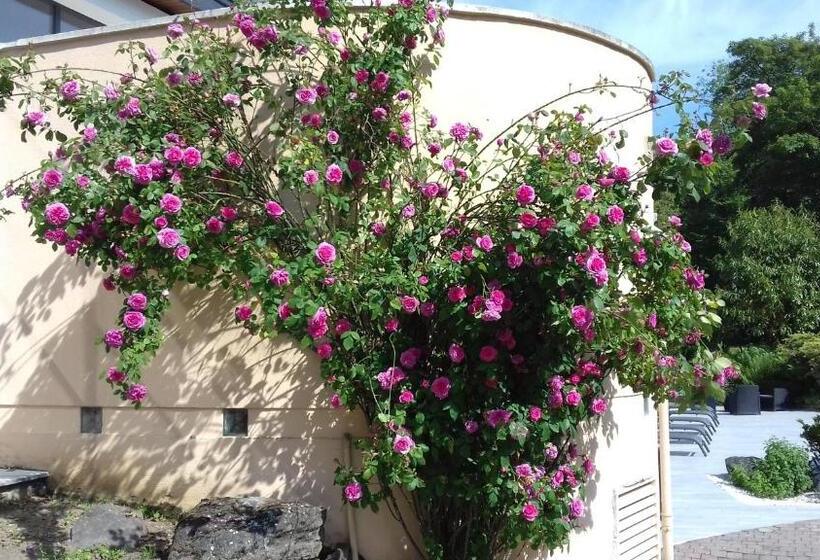 Bed and Breakfast Le Manoir De La Mantille