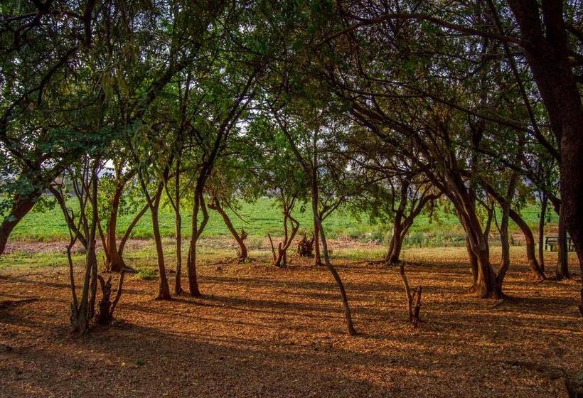 Eagle Waters Wildlife Resort