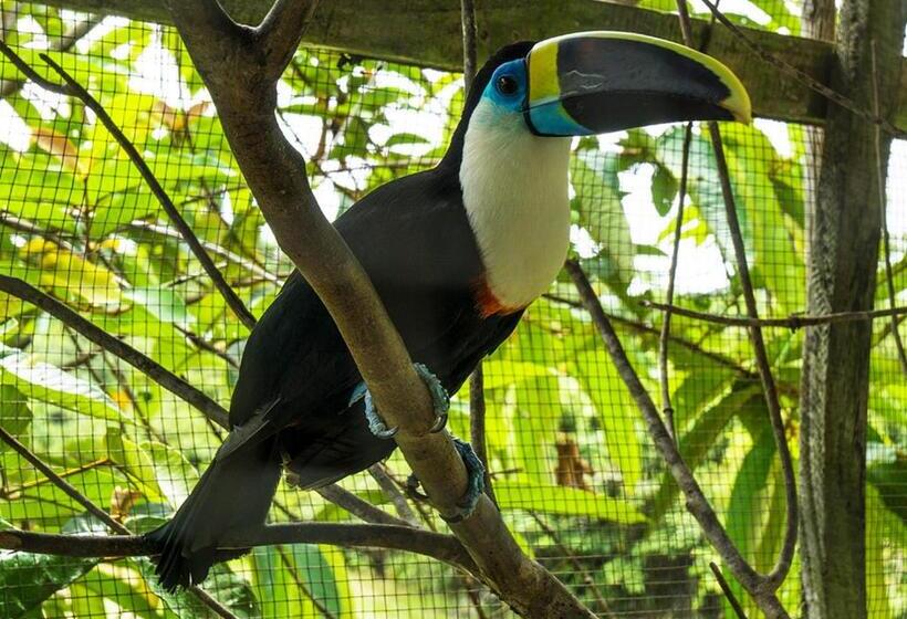 酒店 Amazon Oasis Floating Lodge