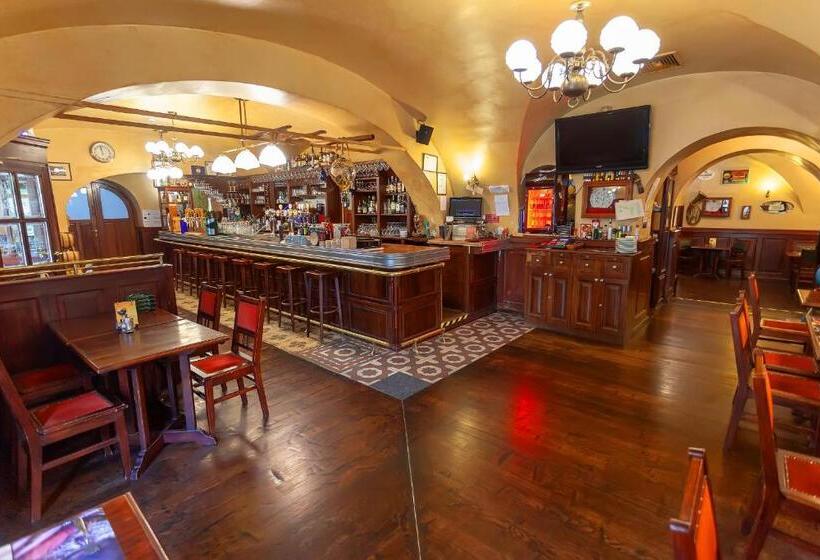 בית מלון כפרי Belga Boutique Panzió