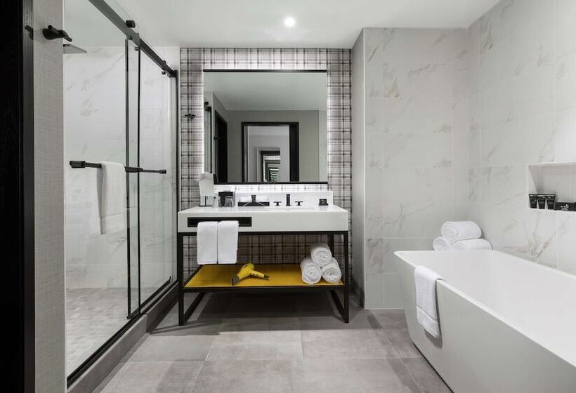 בית מלון כפרי Hyatt Centric Mountain View