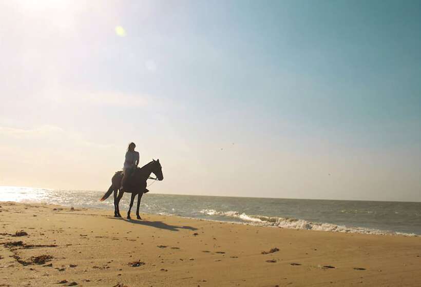 Отель On Vacation Wayira Beach