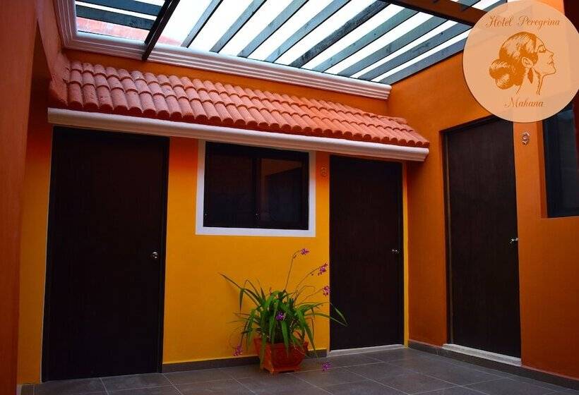 酒店 Peregrina