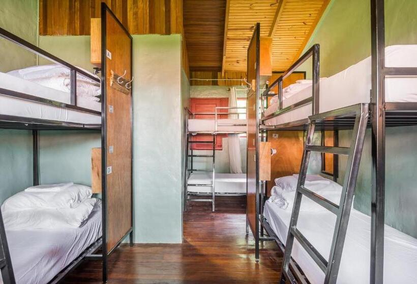 Отель Selina Monteverde