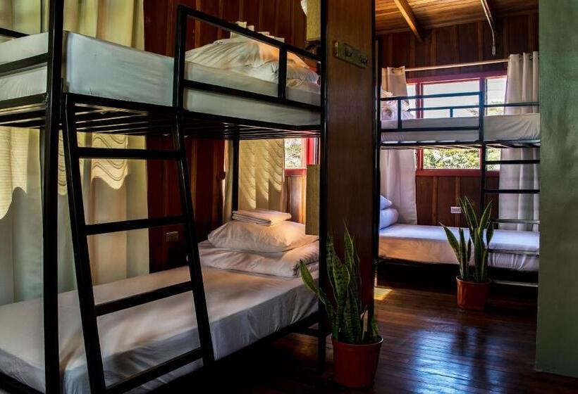 Отель Selina Monteverde