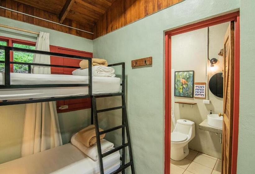 Отель Selina Monteverde