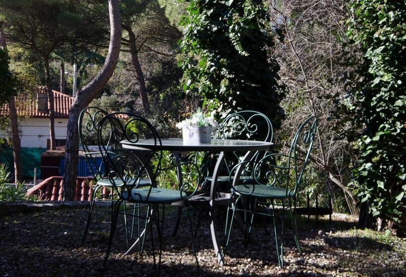 펜션 Apartment Vacarisses Torreblanca Estación, Piscina Privada