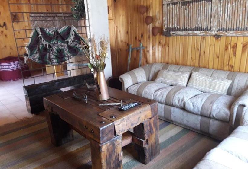 膳宿费 Hostal Arce Marrón