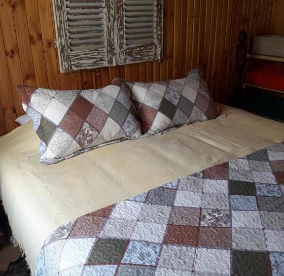 膳宿费 Hostal Arce Marrón