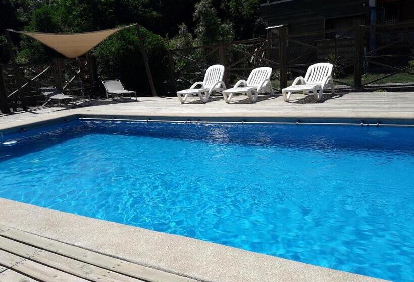 膳宿费 Hostal Arce Marrón