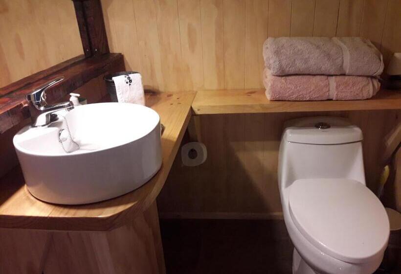 膳宿费 Hostal Arce Marrón