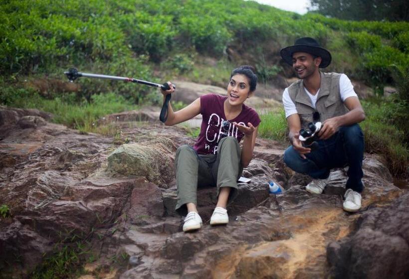 渡假胜地 The Realm