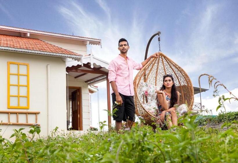 渡假胜地 The Realm