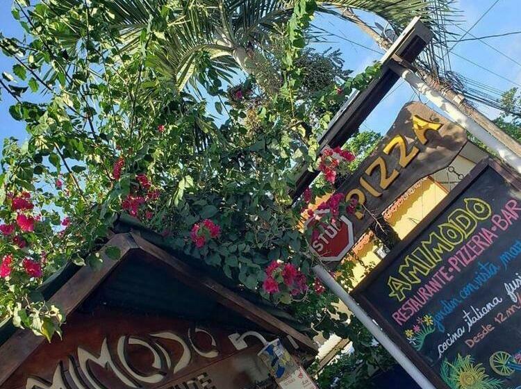 ユースホステル Amimodobeachrooms