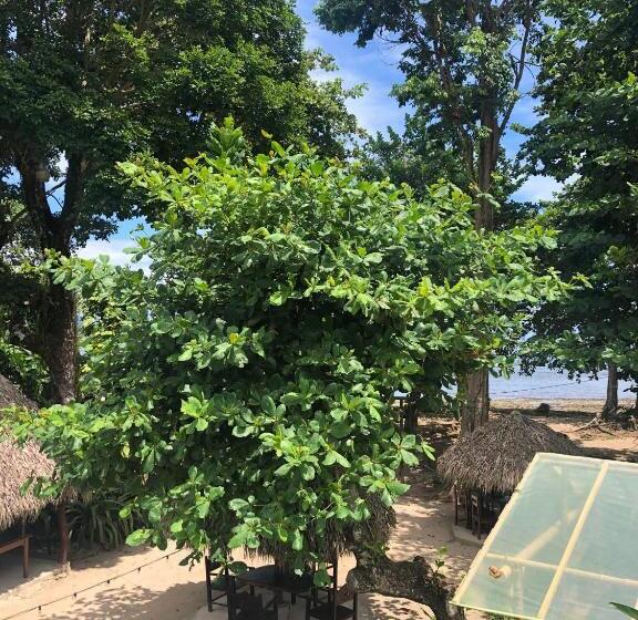 ユースホステル Amimodobeachrooms