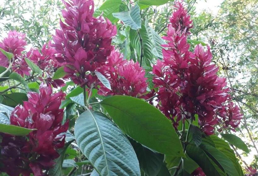 Общежитие Hostal Villa Cecilia