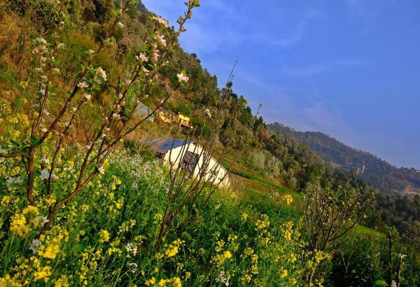 مبيت وإفطار Enchanted Hills Farmstay