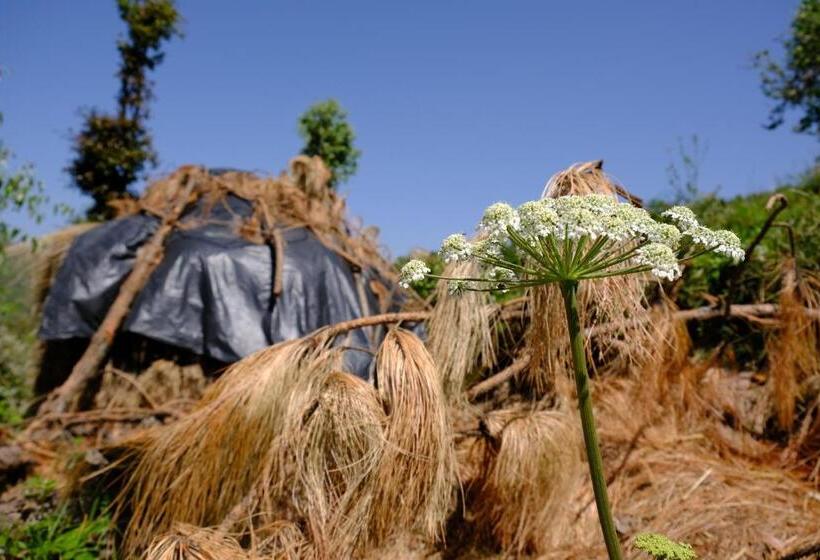 مبيت وإفطار Enchanted Hills Farmstay