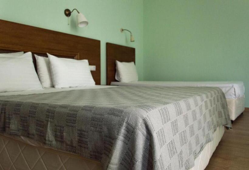 호텔 Aleksion Palace