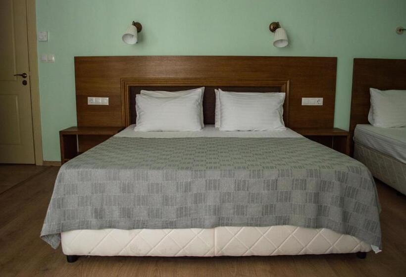 호텔 Aleksion Palace