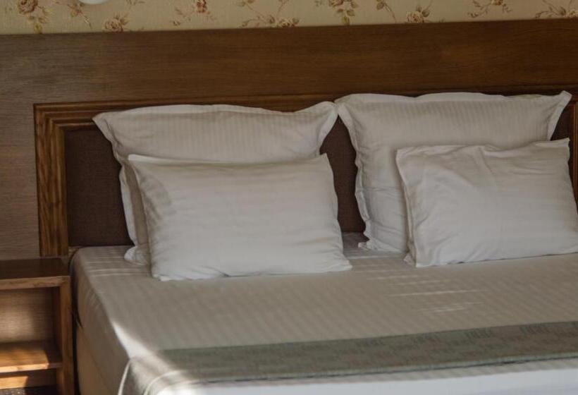 호텔 Aleksion Palace