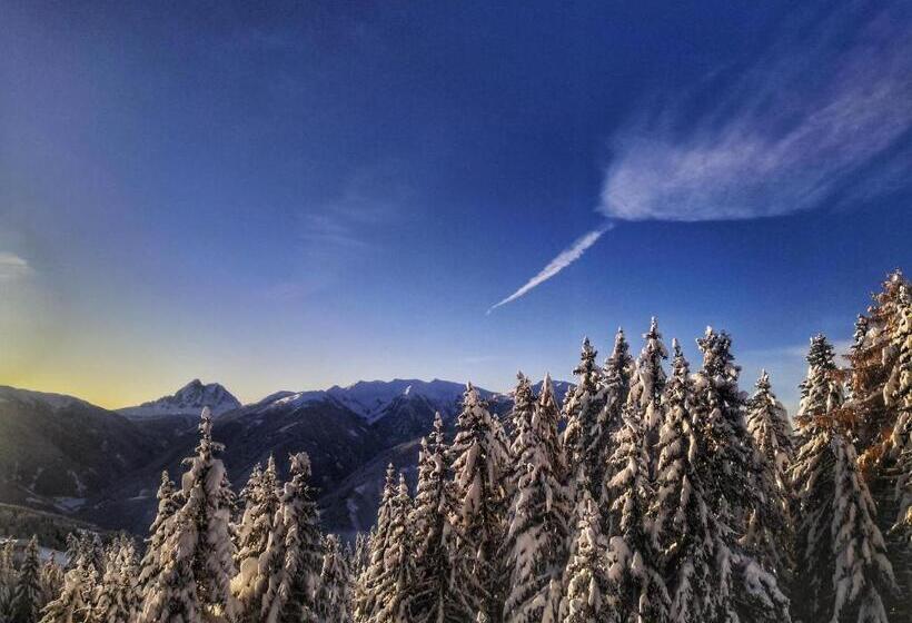 酒店 Oberhauser Hütte Rodenecker   Lüsner Alm