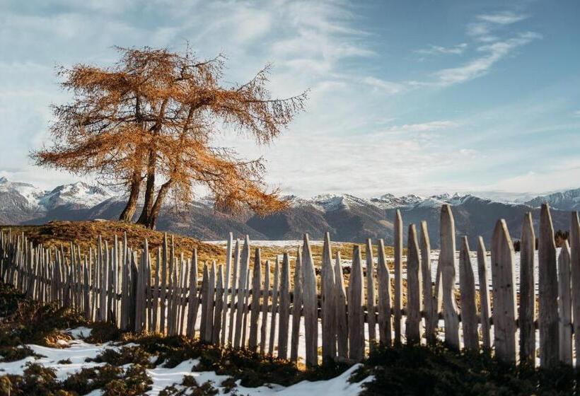 בית מלון כפרי Oberhauser Hütte Rodenecker   Lüsner Alm