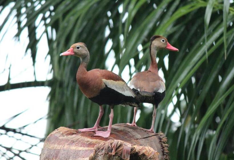 펜션 Casa Federico