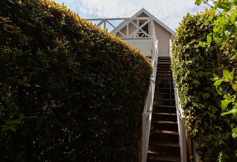 بنسيون The Habit Guesthouse