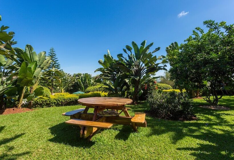 Shine Country Resort Hotel   Hostel