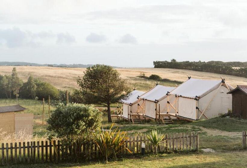 تختخواب و صبحانه Dreamsea Surf Guest House