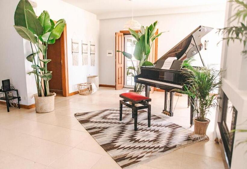 تختخواب و صبحانه Dreamsea Surf Guest House