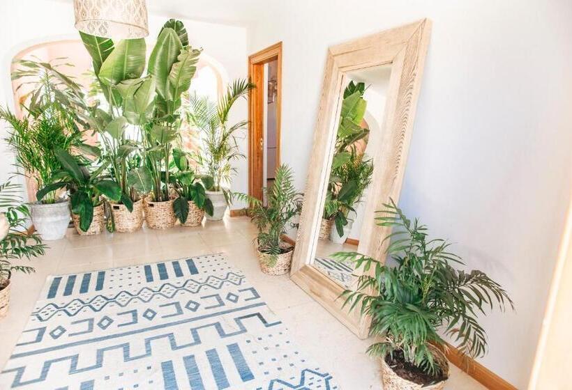 تختخواب و صبحانه Dreamsea Surf Guest House