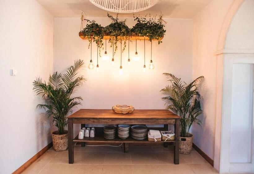 تختخواب و صبحانه Dreamsea Surf Guest House