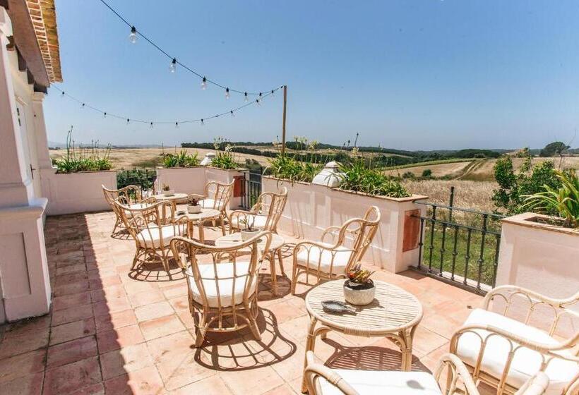 تختخواب و صبحانه Dreamsea Surf Guest House