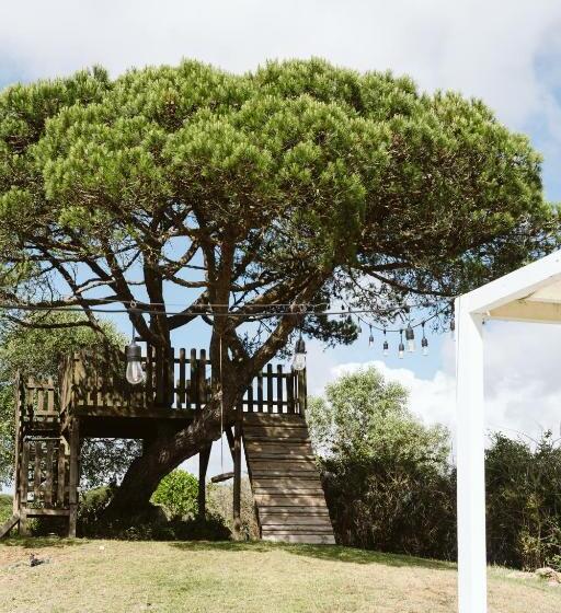 تختخواب و صبحانه Dreamsea Surf Guest House