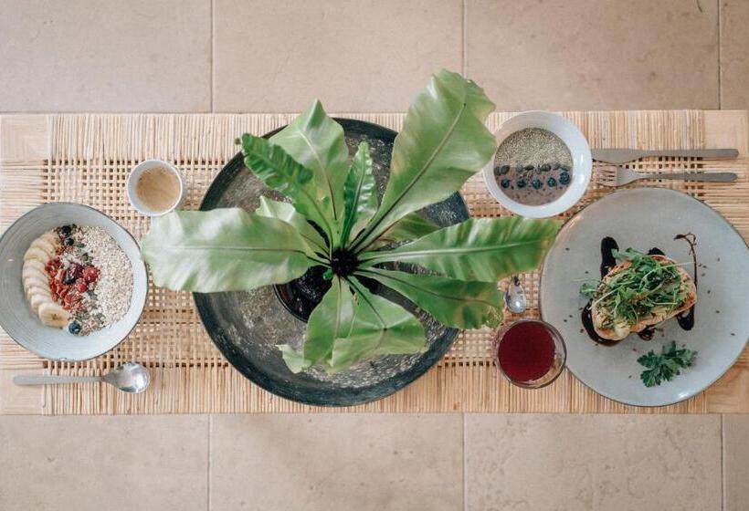 تختخواب و صبحانه Dreamsea Surf Guest House